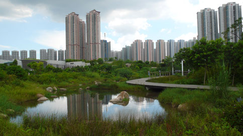 wetlands